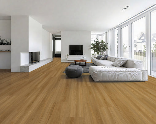 Innovation (Carpet Court Exclusive)